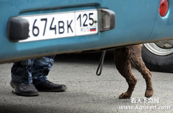 实拍动物奇趣瞬间,萌翻了